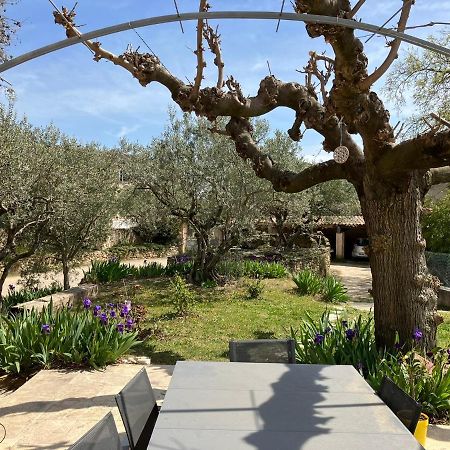 Chambre Avec Petit-Dejeuner En Provence Luberon La Tour-d'Aigues Exterior photo